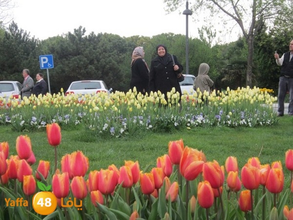 istanbul42500 (6).JPG